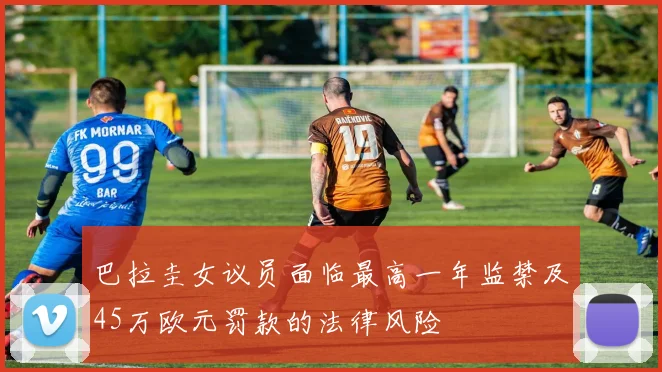巴拉圭女议员面临最高一年监禁及45万欧元罚款的法律风险