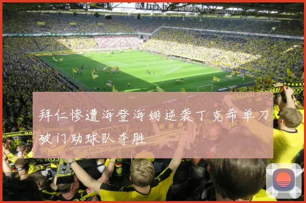 拜仁惨遭海登海姆逆袭丁克希单刀破门助球队夺胜